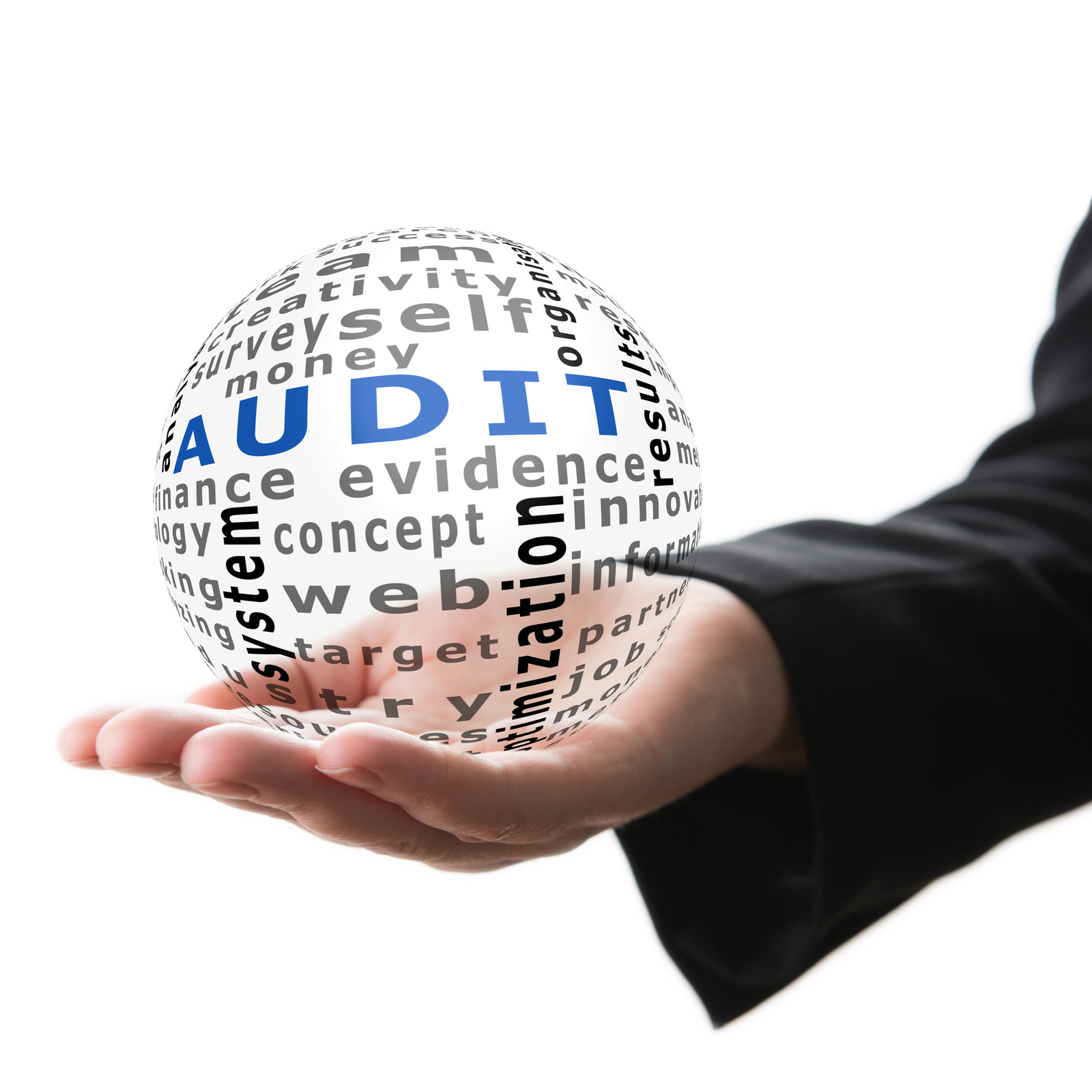 Concept of audit in business